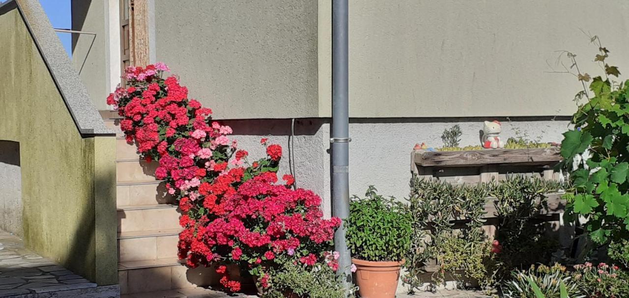 Kelk Loznati Lägenhet Exteriör bild